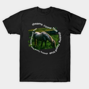 Dreams Come True T-Shirt